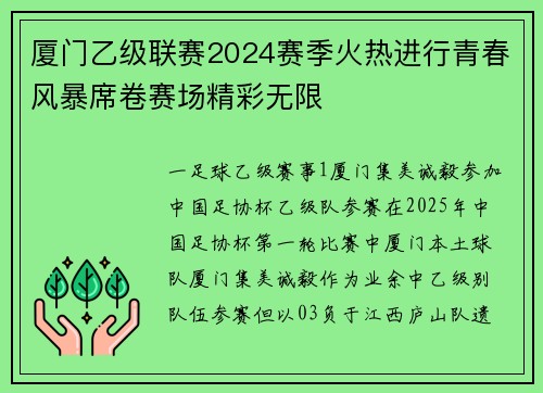 厦门乙级联赛2024赛季火热进行青春风暴席卷赛场精彩无限